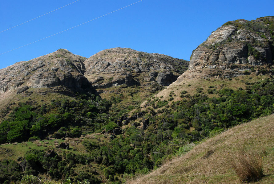 There are two distinct layers of rock. The tops are a less finely-bedded sand- or mudstone that weathers to a grey finish and lacks karstic features. Below is a limestone/marble layer that achieves ka