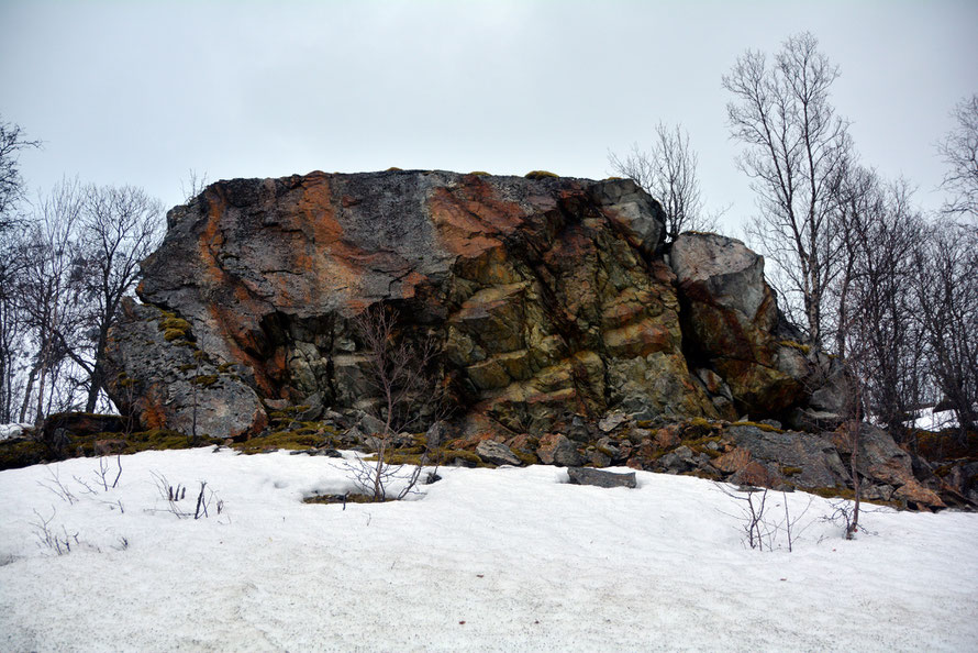 A huge Gabbro erratic near Kobbesteinan on the road to Jøvik. It has been much shattered and there are stong vertical faults and bedding plains present.  Note also the rust markings. This may have been brought down from the nearby Jiehkkevárrii massif.