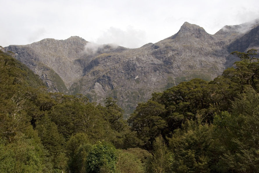 The Chasm car park in the Cleddau Valley looking up the West Branch valley towards Odyssey Peak (1,821m) (?).