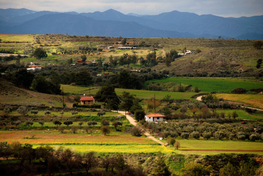 Houses and orchards from Vyzakia (January 2013).