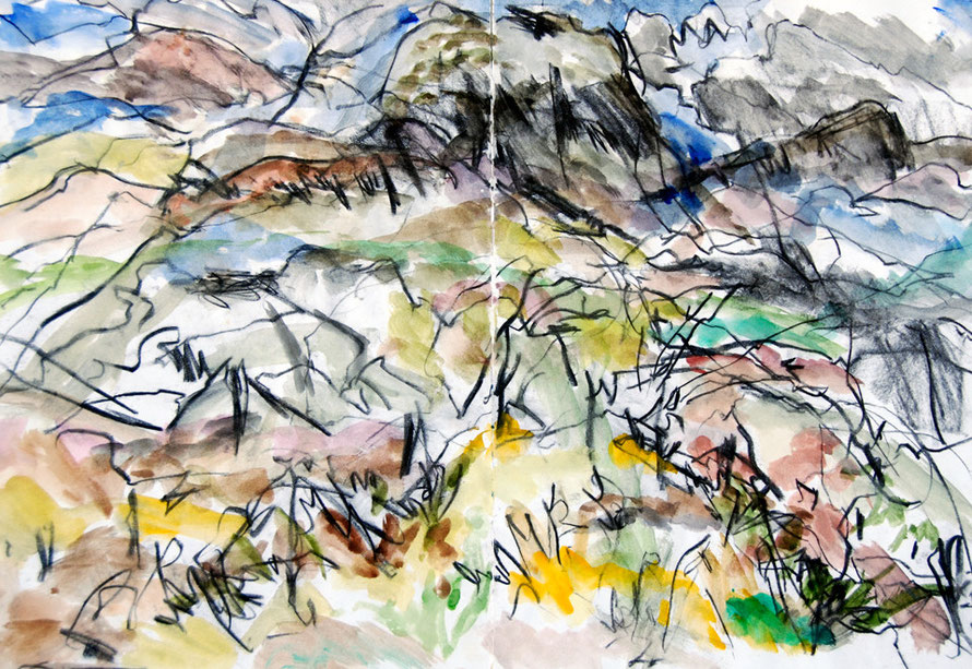 Looking to the Rhinog range from Dinas in Cwm Bychan, North Wales 1992 (Charcoal and Watercolour) FErgus Murray