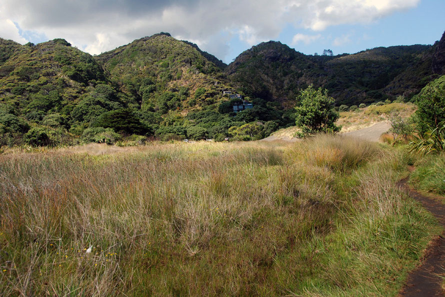 The rugged hills of the Waitakere Ranges that come down to the coast at Karakere.