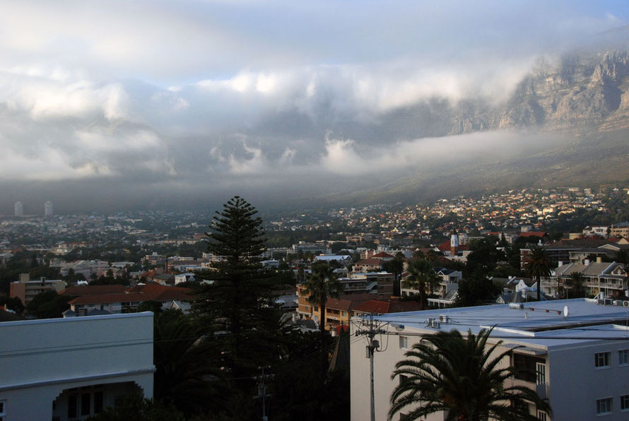 Another early morning view of Table Mountain from our guesthouse in Tamboerskloof, Cape Town