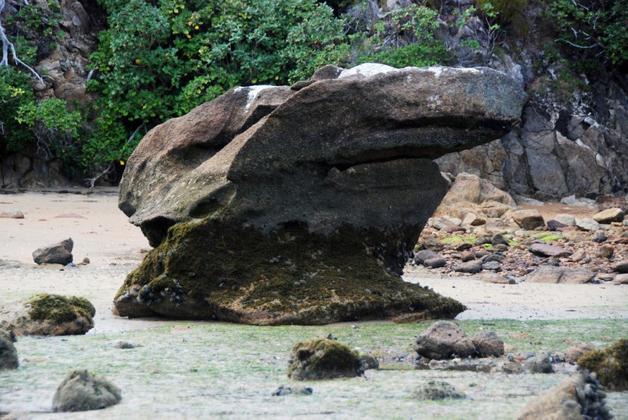 A granite 'anvil' on Boulder Beach, Ulva Island.