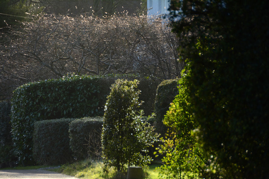 They call us, 'The First Light Country' because the sun supposedly arrives at the South Foreland before anywhere else in the UK. But it leaves early too but not before this lovely display of greens. 