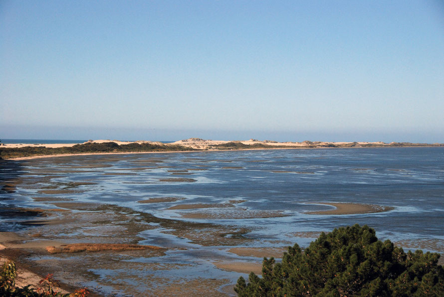 The protected mudflats behind Farewell Spit in Golden Bay 