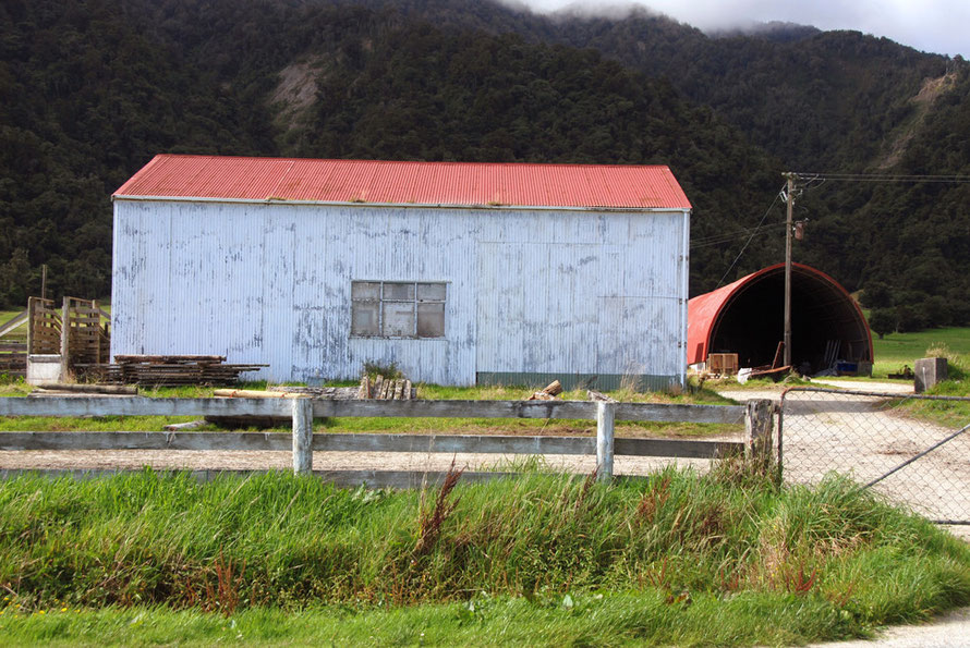 Ferguson Farms shed and Rangitoto Range in background