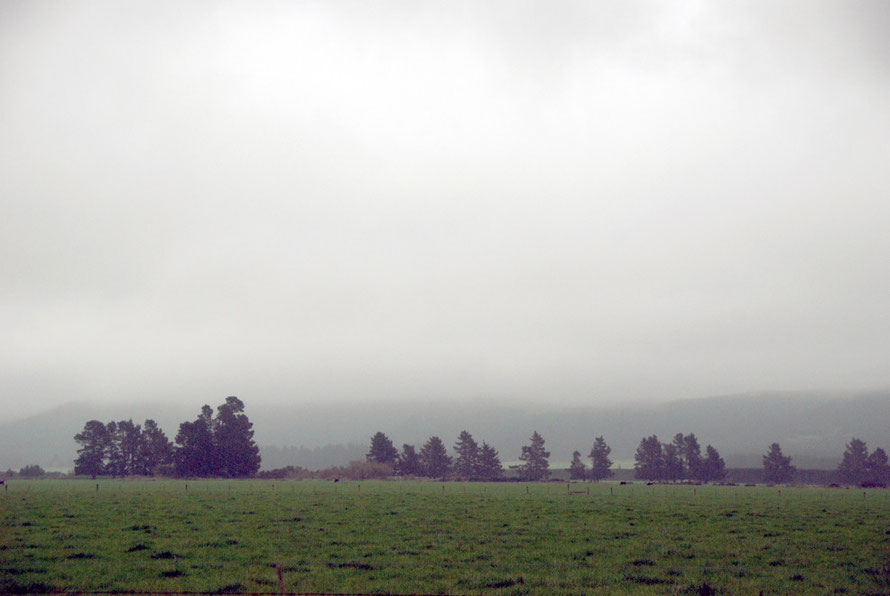 The cloud descended and sayed descended. Grim outlook on the Inland Scenic Route south.