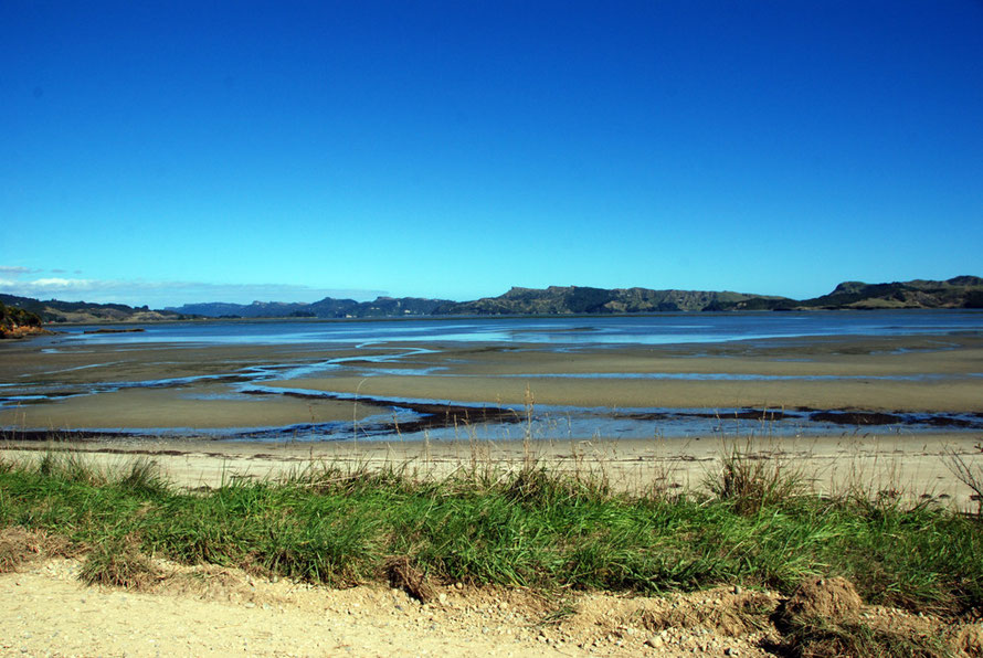 The tide out at Whanganui looking across to the north arm of the inlet studded with limestone bluffs and outcrops