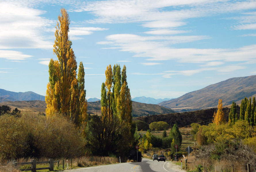 The Cardrona Valley and river heading north to join the Hawea and then the Clutha/Mata-Au