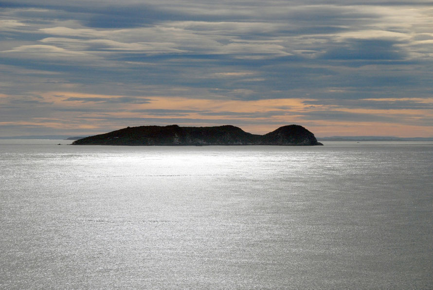 Te Marama Island in the Foveaux Strait - seen from Ackers Point on Stewart Island  in late summer morning light when high pressure prevailed.