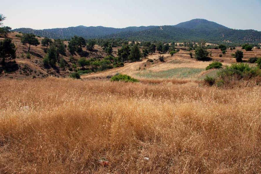 Pocket-sized fields and the northern Troodos between Koutrafas and Skouriotissa