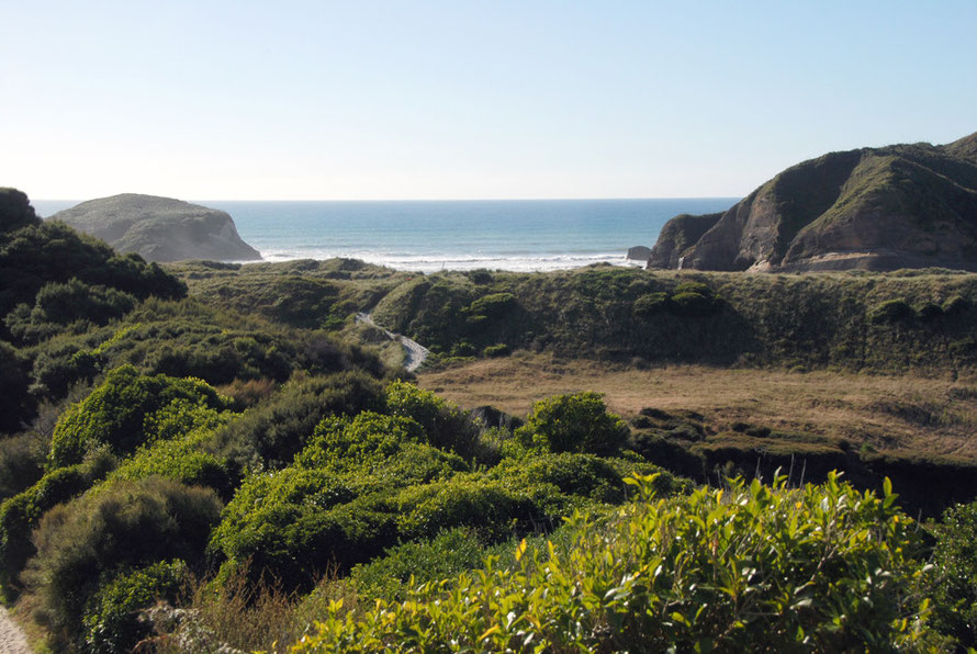 The opening vista of Wharariki Beach with dense bush growing in the damp hollows behind the active dune line.