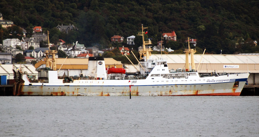 The Professor Mykhaylo Aleksandrov at the wharfside in Dunedin. Crewed by Ukrainians the boat works six month shifts in the Arrow Squid and Jack Mackerel fisheries (see photo link)