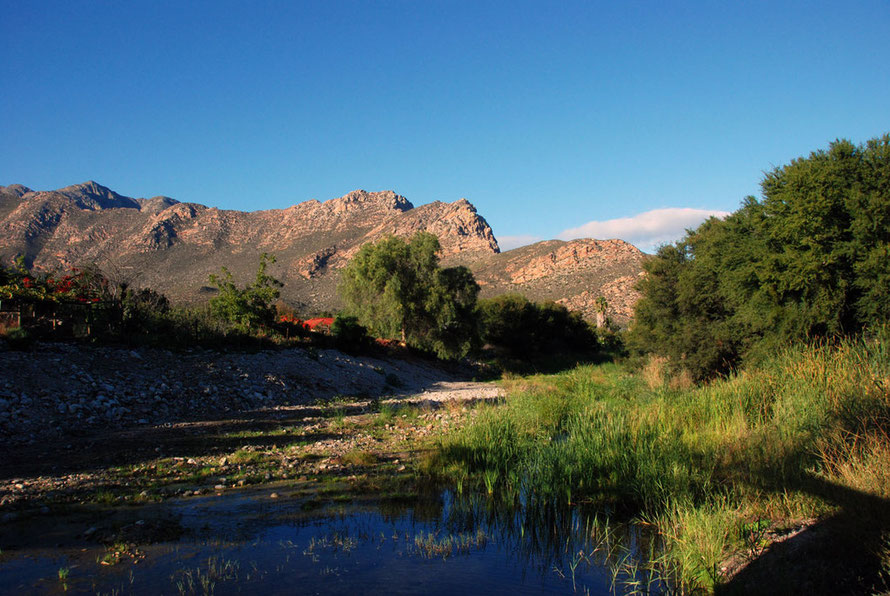 The river in West Montagu in late summer was little more than a trickle