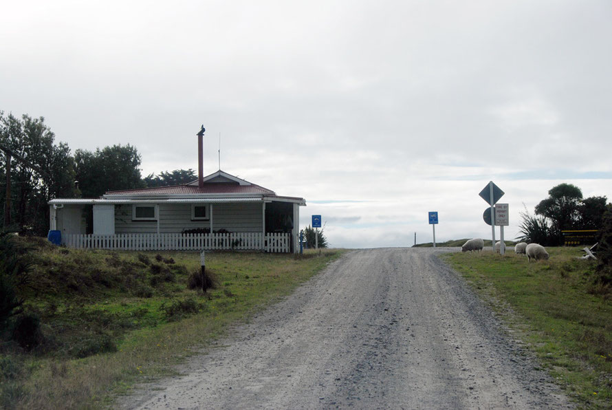 Homestead with a white pciket fence on the approach to Gillespie's Beach. The blue signs are not for a railway crossing but prohibit camping and campervans. 