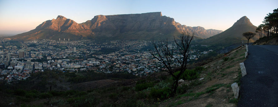 Panorama of City Bowl and from left Devil's Peak, Table Mountain, Twelve Apostles, Lion's Head and in foreground burnt tree and bank still smoking from recent  fynbos fire