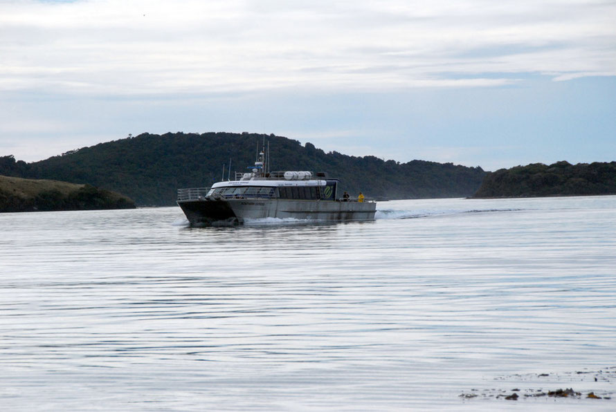 Big ferry comming into Ulva after we had left thankfu