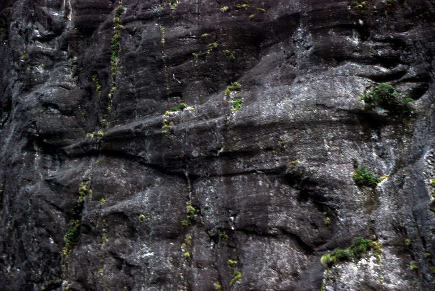 Section of glacially modified rock wall near Stirling Falls showing glacial polish, stria (scratches and gouges), stichelwannen (curved grooves formed by water under immense pressure) and cavettos. Ic