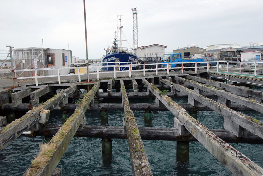 TThe disused wooden wharves at Bluff harbour and the startlingly clear blue-grey water of the harbour beneath.