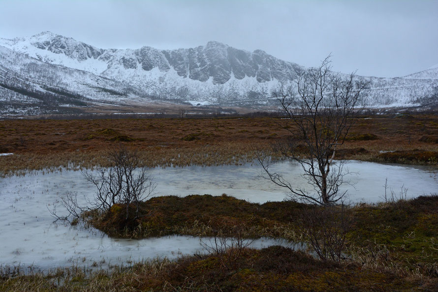 Senja Island on a foul day in April on the flat marshy thawing wasteland before the steep climb up and over to Gryllfjord. 