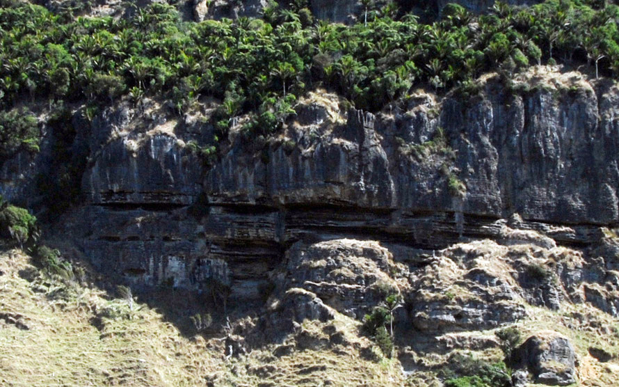 Here the eroded horizontal layers of bedding plain are verey clear while vertical fissures can also be made out on the bluff above the Puturau