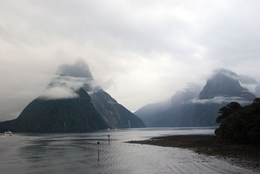 The view north up Milford Sound. Mitre Peak and Footstool on L.  The Lion (1,302m) and the Elephant (1,508m). on R.