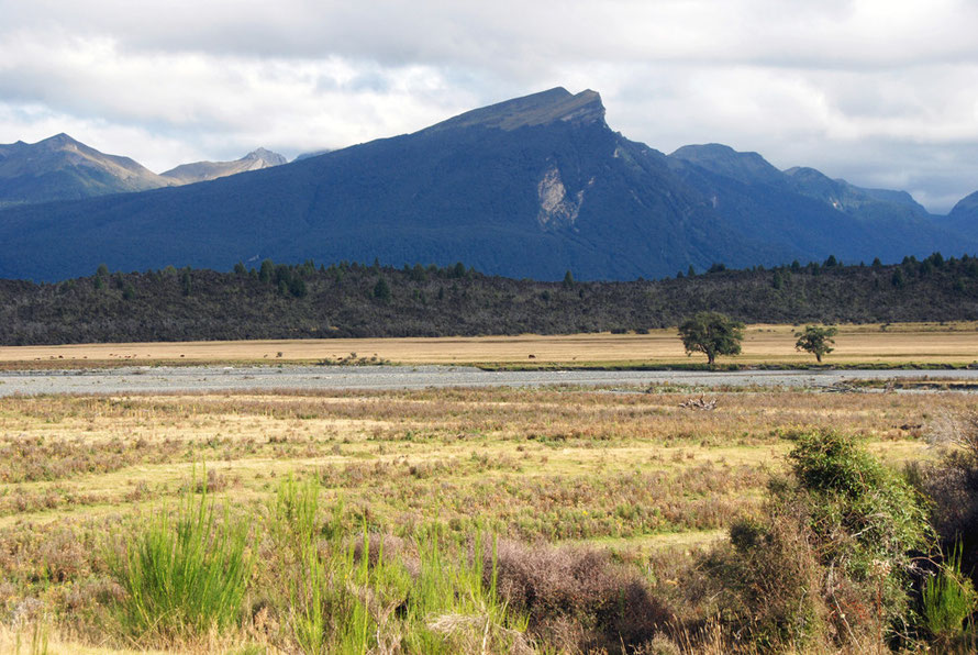 The Milford Road beyond Te Anau Downs looking across the Eglinton River and the Turret Peaks (1317m). The cuesta, or sloping mesa of the moutain is typical of the Westward-dipping Sandfly Formation. 