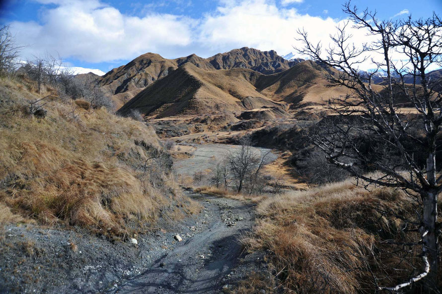 Remains of hydraulic sluicing on the Arrow River below Macetown (KaeLewis)