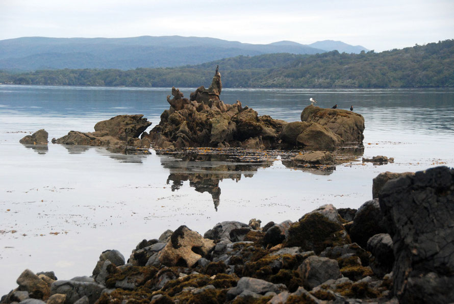 Granite formation with shag, big gull and two black oystercatchers (as they are called on Stewart Island) at Boulder Beach.