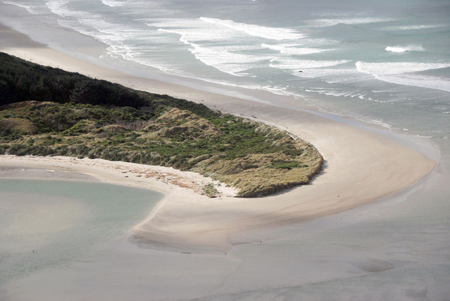 The far end of Victory Beach where the sea lions breed. The flywheel of the ship SS Victory which went aground on the beach in 1861can just been seen in the breaking surf.