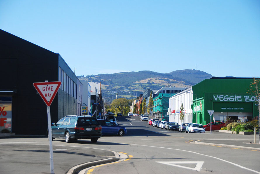 Commercial Dunedin with Mt Cargill (676m) in the background