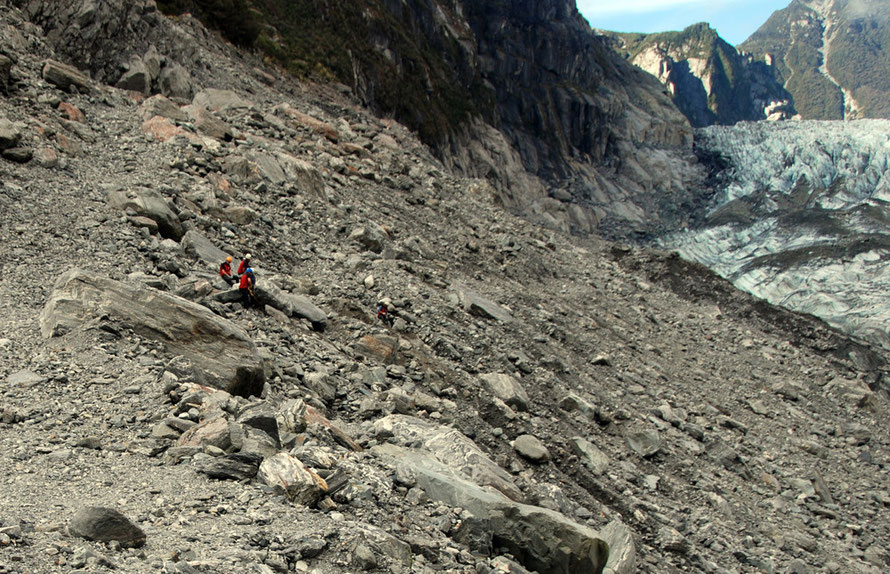 The Augean Stable Job: the boulder shifting team on a high later moraine near the Fox Glacier terminus. Note the height of the shoulder beyond the team scoured out by a much bigger glacier than the pr
