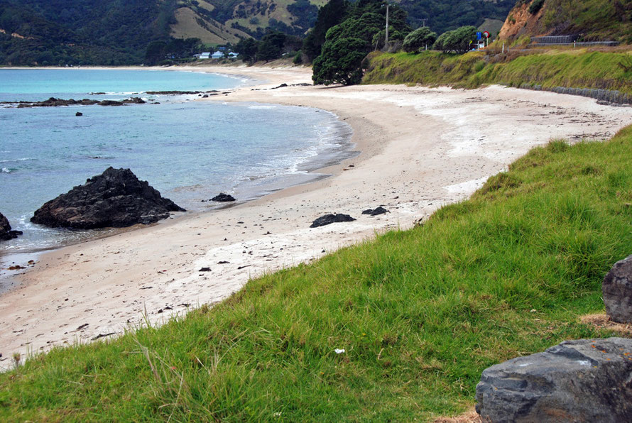 Beach at Kuaotunu on the east side of the Coromandel Peninsula. 