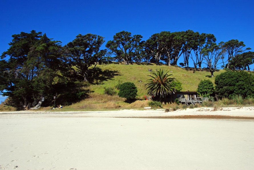 Sand, sky and trees at Pakiri. 