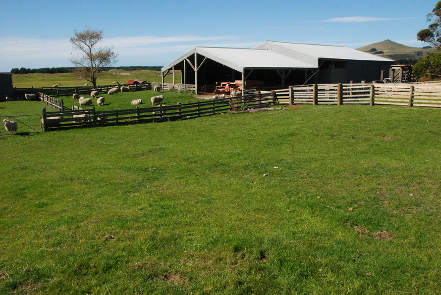 Neat sheep pens on the way to Okia Flat