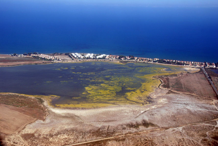 Mosquito problems at Larnaca Salt Lakes looking towards Cape Kiti 