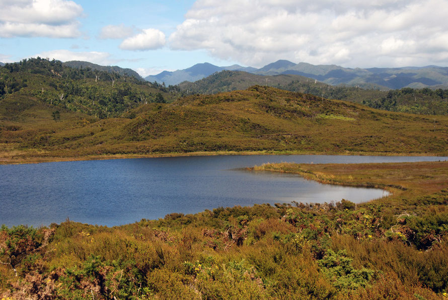 The big lake at Mangarakau Swamp with the Wakama Ranges in the background