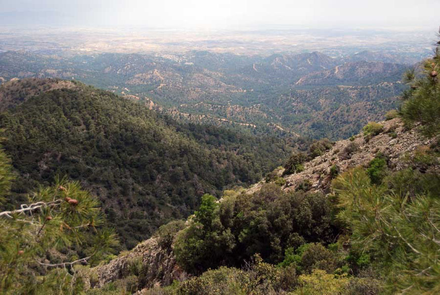 Cyrpus has many endemic species threatened by the pace of development and habitat loss. View from the eastern Troodos towards Nicosia from below Mount Kionia