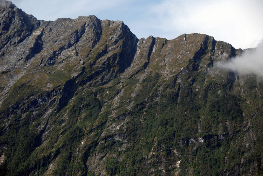 The denuded ridge top to the south of Mills Peak showing ice sheet erosion picking out weaknesses in the Milford Sound orthogneisses.