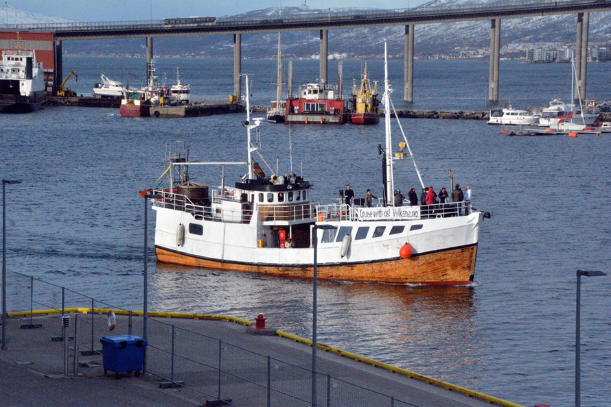 The wooden trawler Vulcana now giving rides from Tromsø. An ex-sprat, Cod and summer whaling boat built in 1957. Now a luxury adventure ship.  Developments in marine technology were crucial for expanding fish horizons from coastal to deep-sea waters.