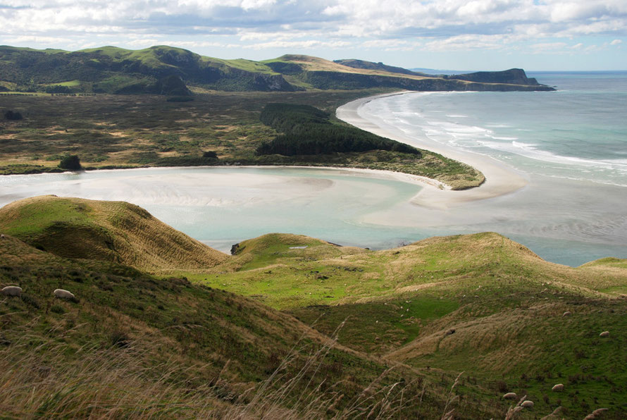 The mouth of Papanui Inlet and Victory Beach beyond and the headland of Te Whakarekaiwi and Pipikaretu Point.