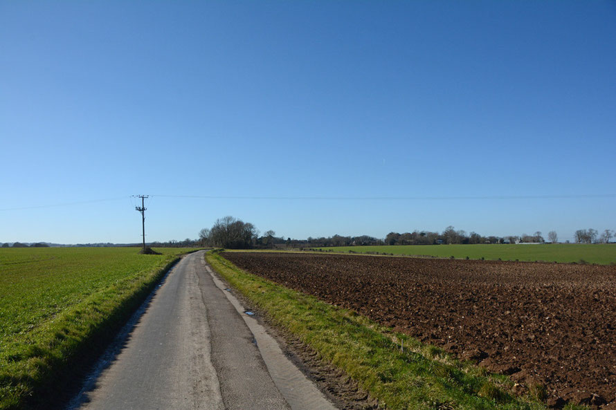 Converging lines, near Martin Mill, North Downs.