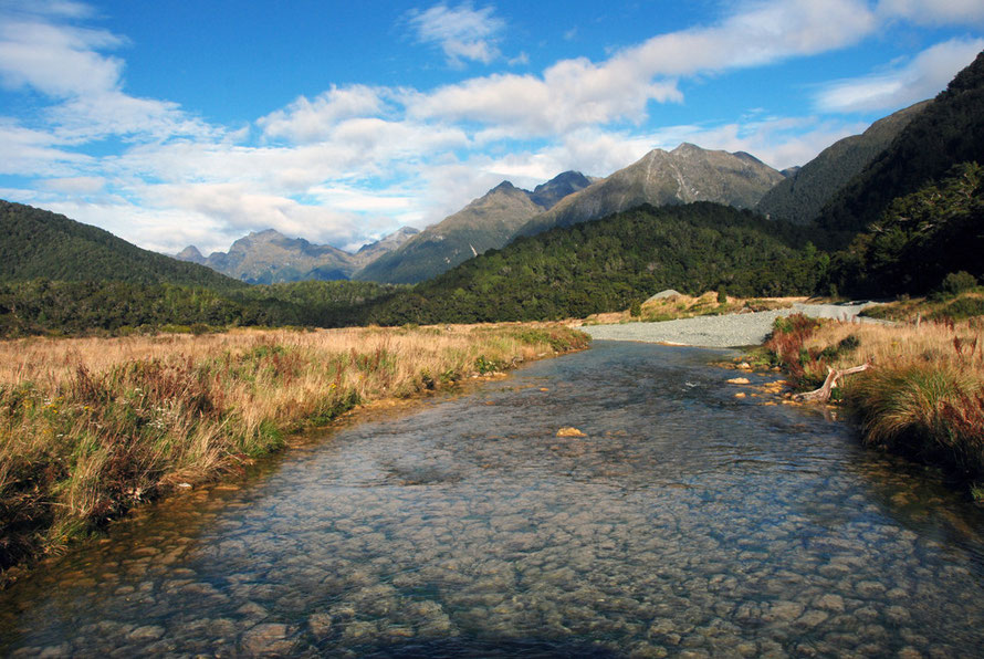 Looking south-west down the west branch of the Eglinton River near Cascade Creek on the Milford Road.