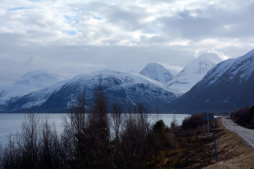 The harsh climate and terrain of the Lyngen Line. View from west side of Storfjorden and the Lyngen Alps with Kvieta at 1751m. Glacier fields and the Steindalsbreen glacier increase the hzardous conditions in these mountains. Photo in late April 2015.