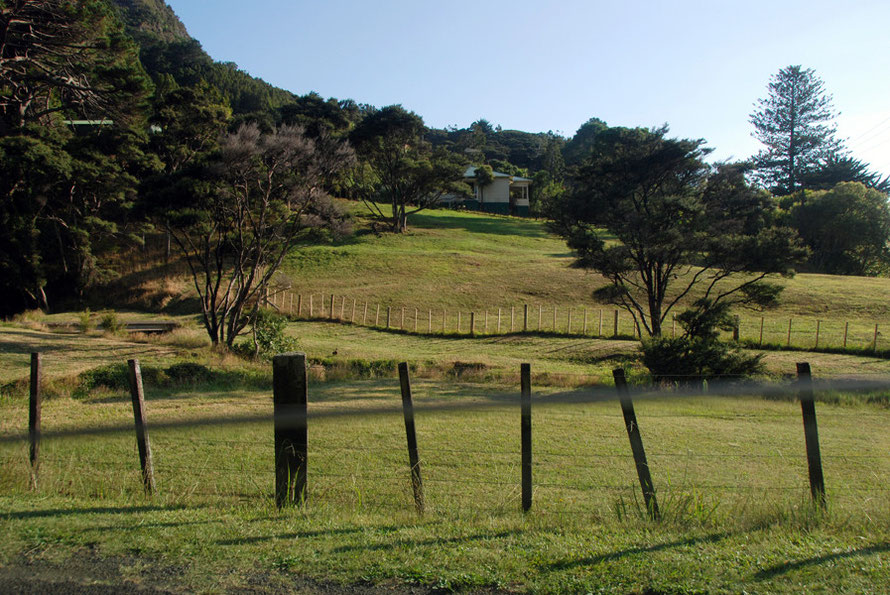 The road skirts, beautiful, tranquil Huia Bay and cuts inland at Kaiteke Point rising through neatly fenced paddocks with solitary Kanuka trees and the enclosing bush.