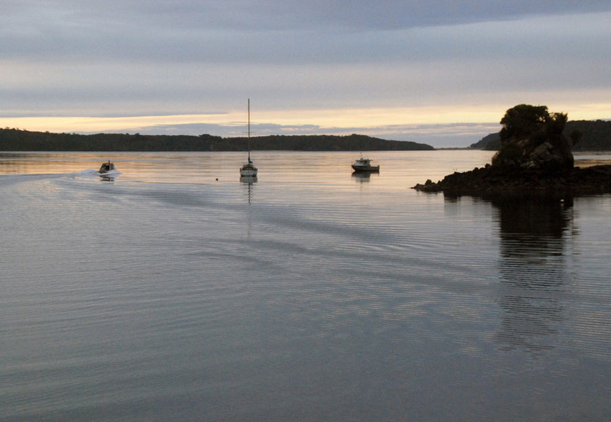 The water taxi heads out from Golden Bay around the corner of Iona Island heading for Ulva Island.