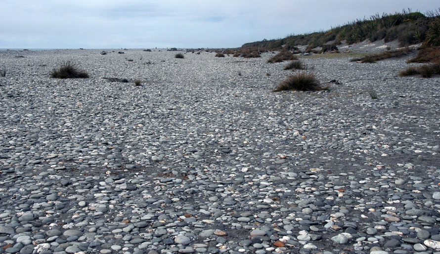 Looking north east to Gillespie Point over the greywacke and schist of Gillespie's Beach