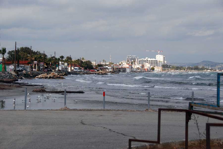 Sea front at Larnaca with washed up Sea Grass on foreshore, February 2011