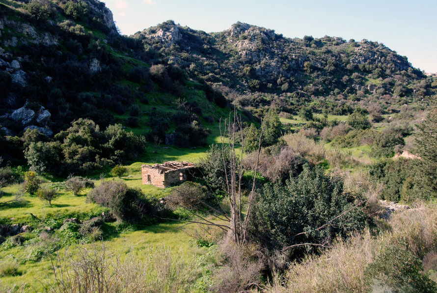 It was blissful to be alive there and then and to know that this valley and its tight valley-floor fields had been cultivated for over 8,000 years (Khirokitia January 2013). 